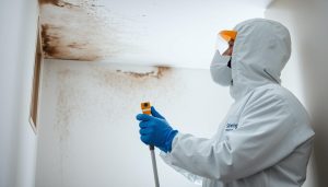 Hur tar man bort nikotinfläckar från väggar och tak?